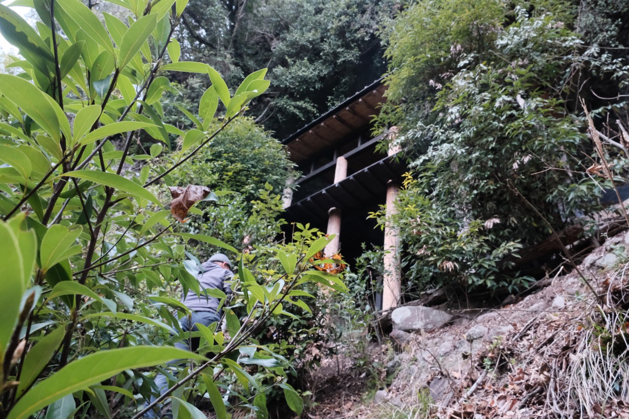 【大分県中津市】八幡信仰の始まりの場 八面山の「猪川内岩屋堂(いのこちいわやどう)」へ
