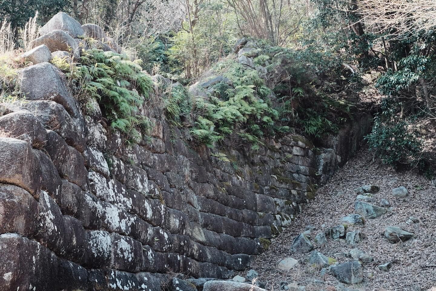 【行橋市】謎の古代遺跡「御所ヶ谷神籠石」と景行神社の先へ進み「奥の院」へ