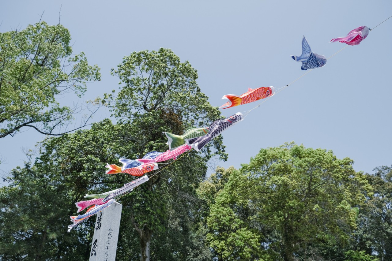 【豊前市】小さな鯉のぼりを撮りに5月の嘯吹八幡神社へ