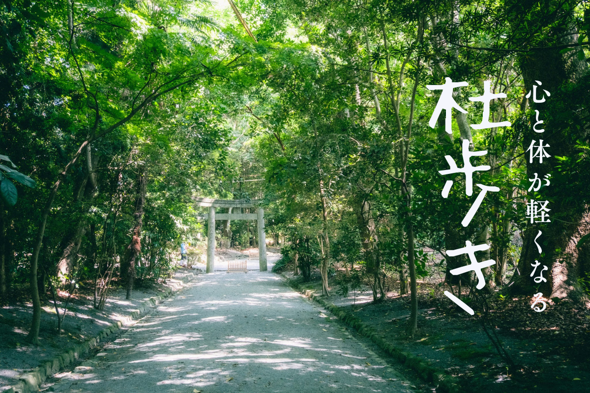 心と体が整う鎮守の杜歩きの提案