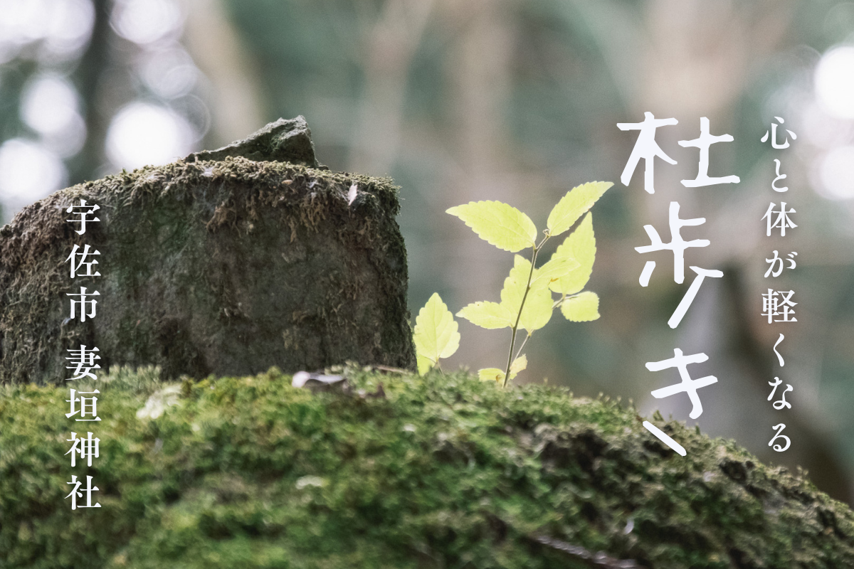 心と体が整う鎮守の杜歩き 妻垣神社(宇佐市)