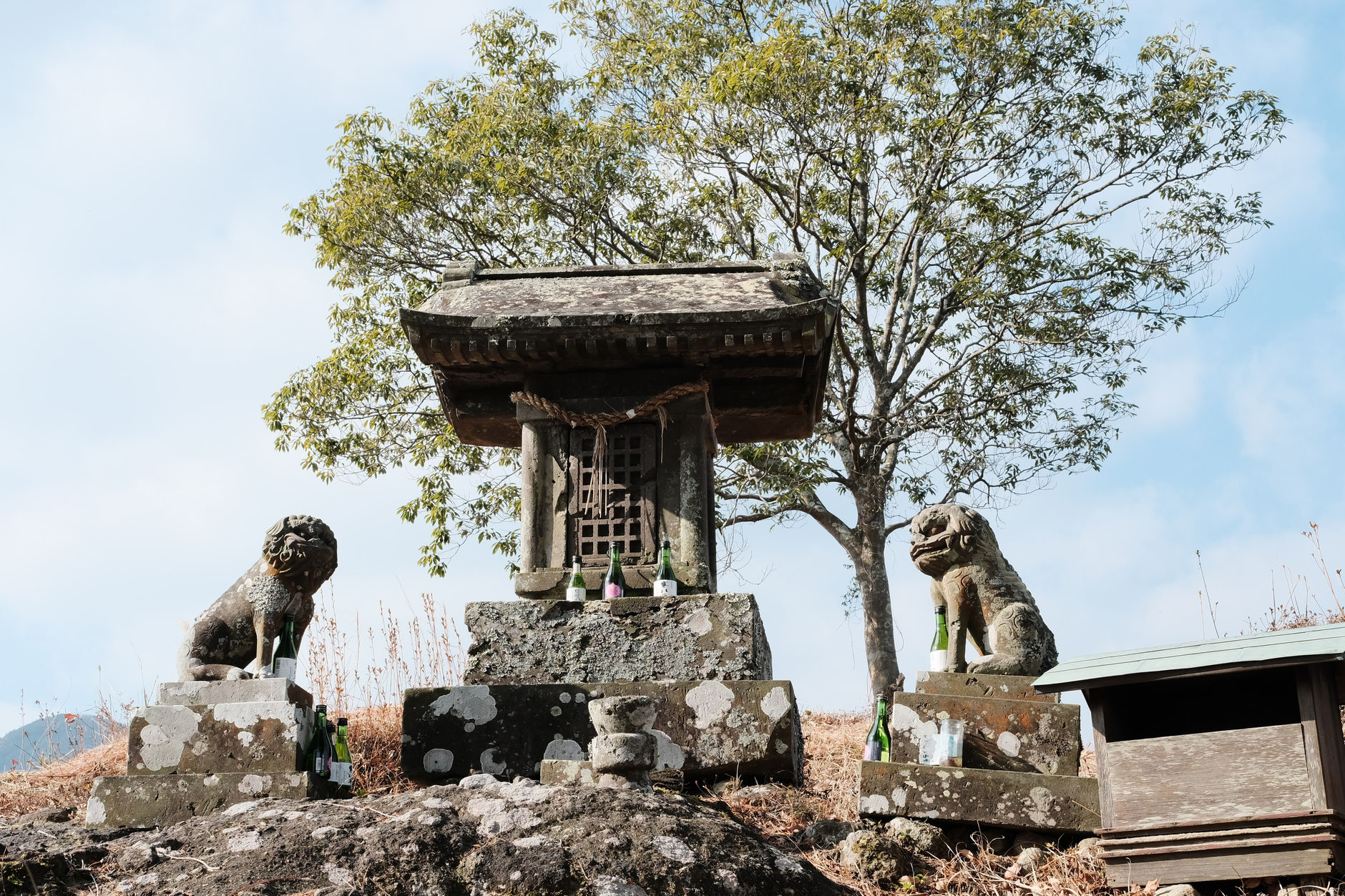 【発見】金毘羅様は海の神様ではなかった？ 文化財担当者から聞いた「風と雲の神」としての真の姿