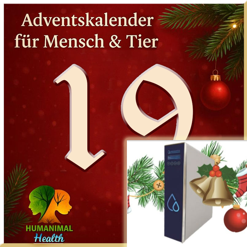 Heute öffnen wir Türchen Nummer 19❣