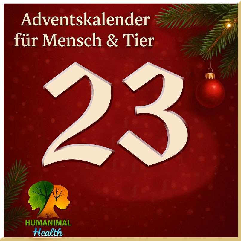 Heute öffnen wir Türchen Nummer 23❣