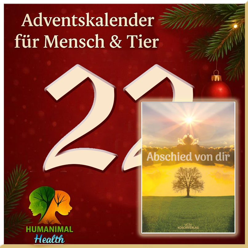 Heute öffnen wir achtsam Tuerchen Nr. 22❣