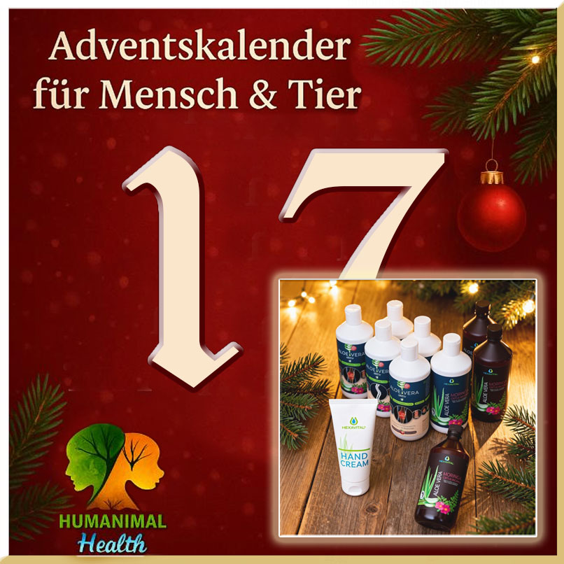 Heute öffnen wir Türchen Nummer 17❣