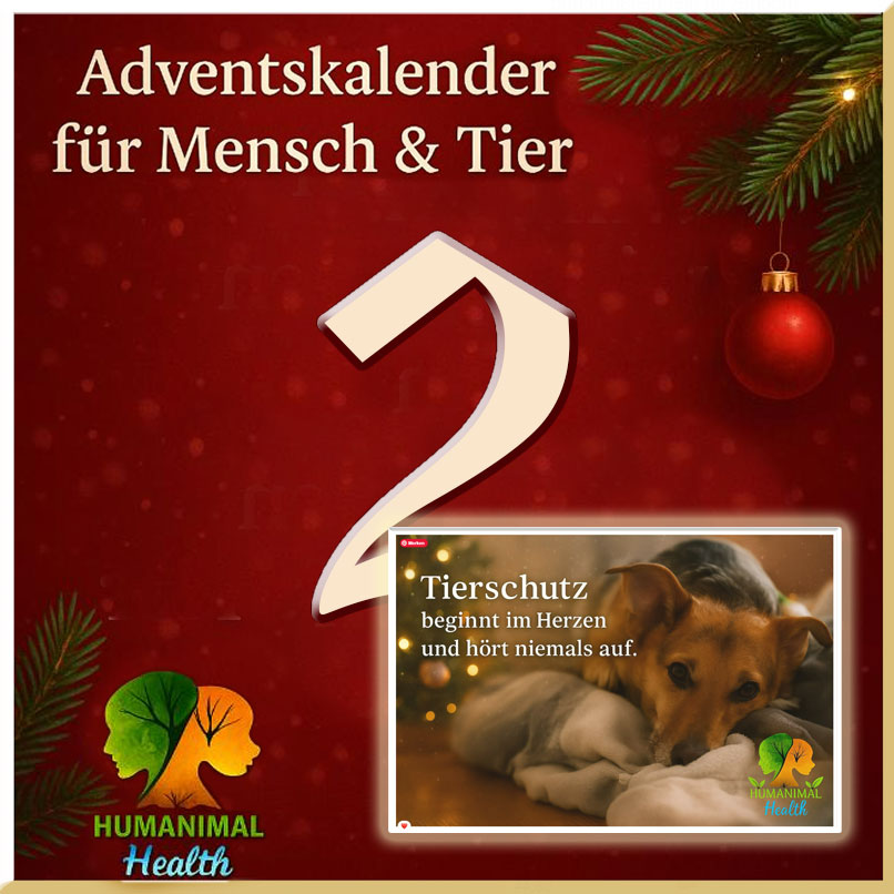 Heute öffnen wir Türchen Nummer 2❣