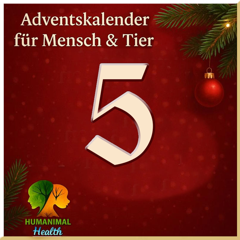 Heute öffnen wir Türchen Nummer 5❣