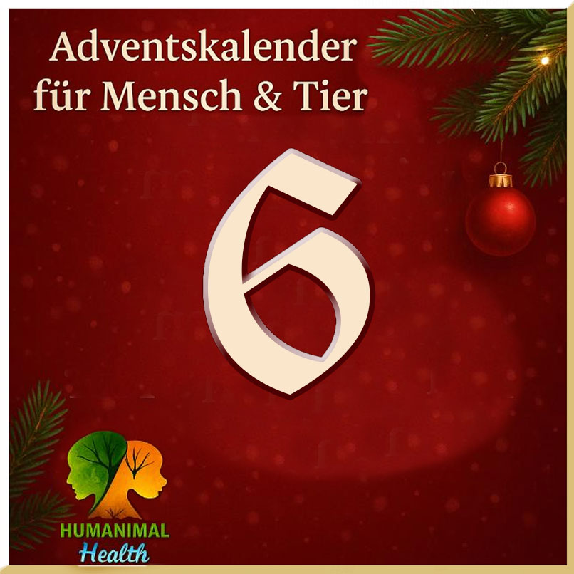 Heute öffnen wir Türchen Nummer 6❣