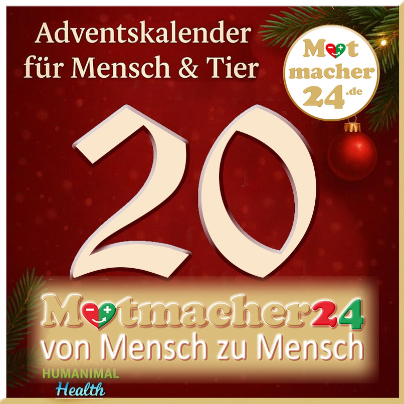 Heute öffnen wir Türchen Nummer 20❣