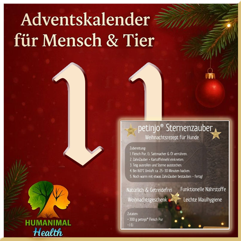 Heute öffnen wir Türchen Nummer 11❣