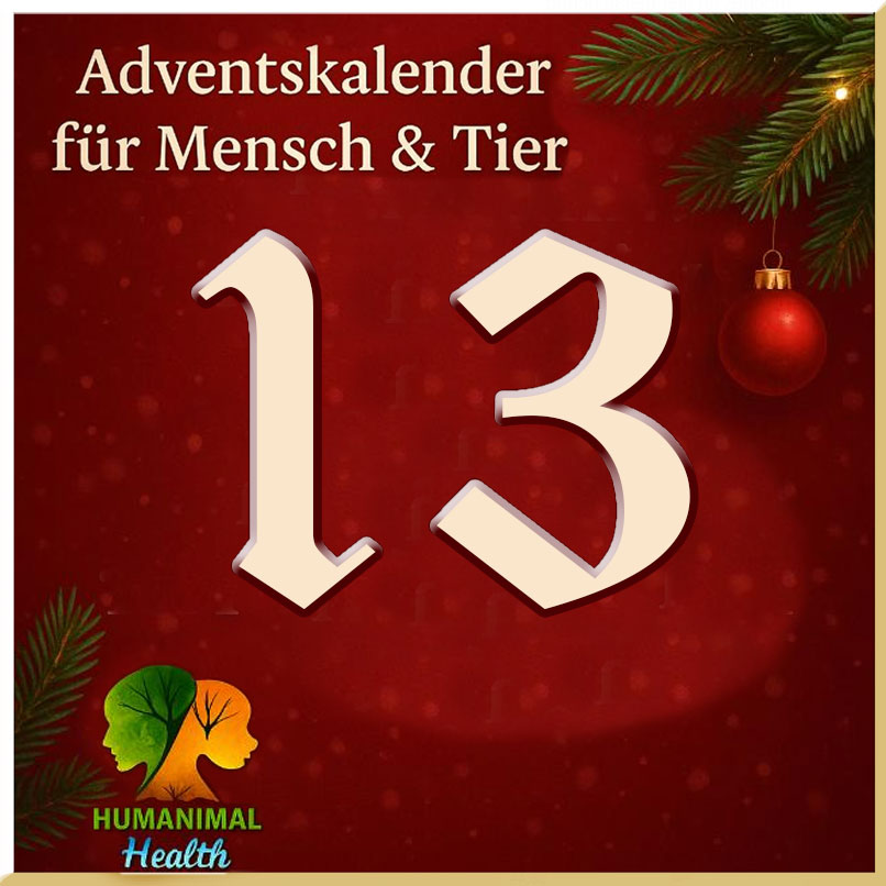 Heute öffnen wir Türchen Nummer 13❣