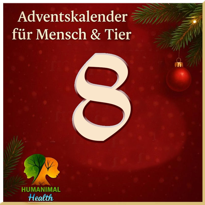 Heute öffnen wir achtsam Tuerchen Nr. 8❣