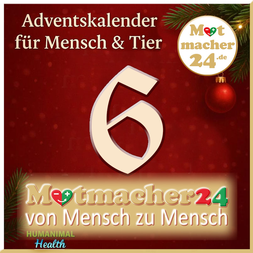 Heute öffnen wir Türchen Nummer 6❣