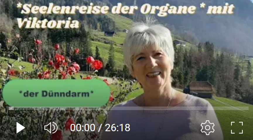 Schulterschmerzen, Blähbauch, Gewichtsprobleme?! Dann frag mal deinen Dünndarm❣