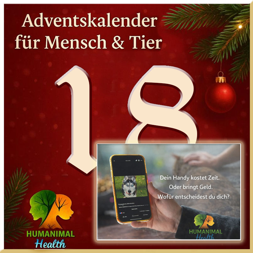 Heute öffnen wir Türchen Nummer 18❣