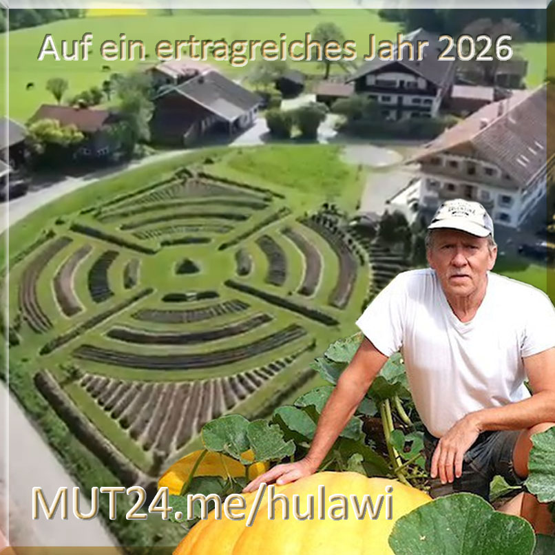 HuLaWi ~ Frohes Neues Jahr 2026