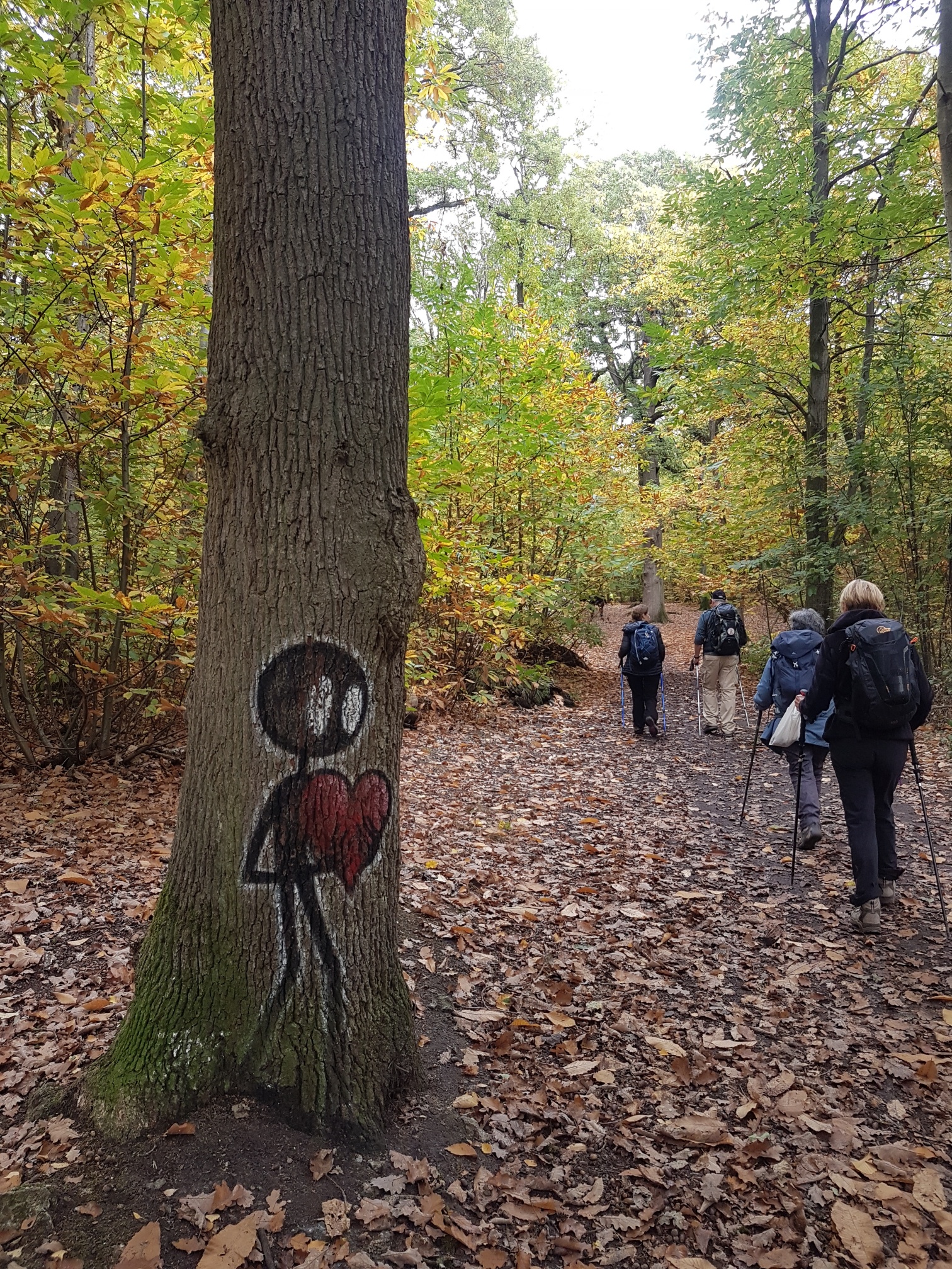 Forêt de Meudon - 16 octobre 2022