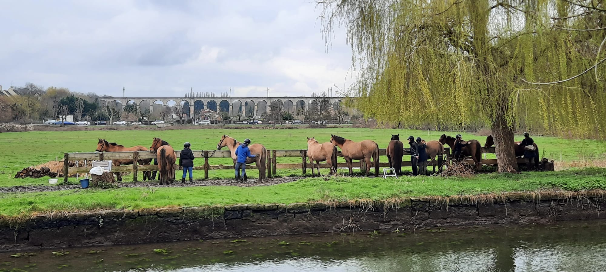 Chantilly - 10 mars 2024