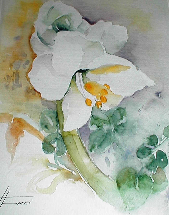 ART HFrei - "Calla" - Aquarell - 2005