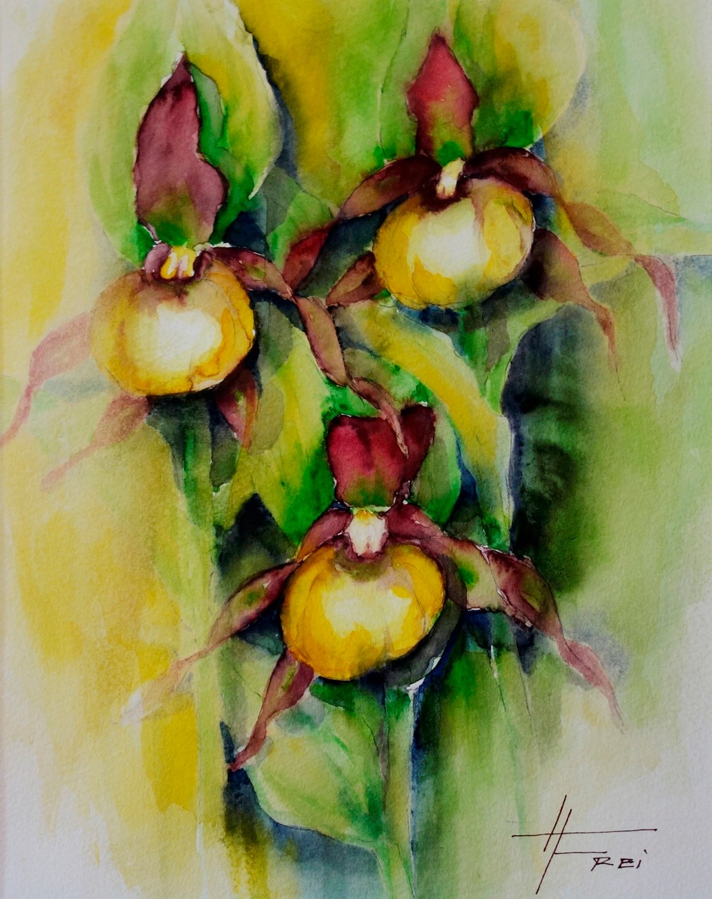 ART HFrei - "Frauenschuh" - Aquarell - 2005