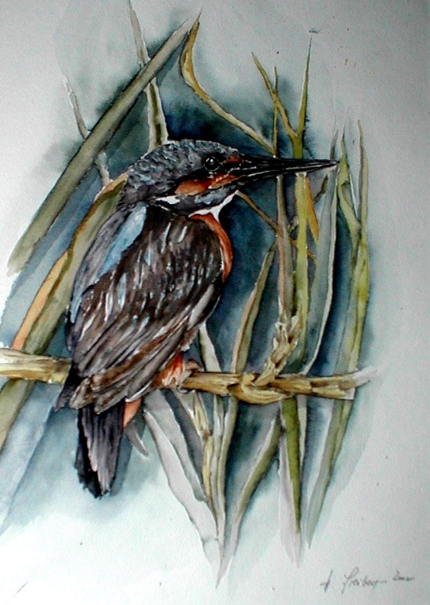 ART HFrei - "Eisvogel" - Aquarell - 2005