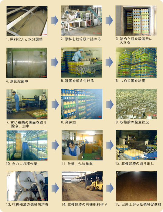 きのこはこうしてつくります Yuukikurabu ページ