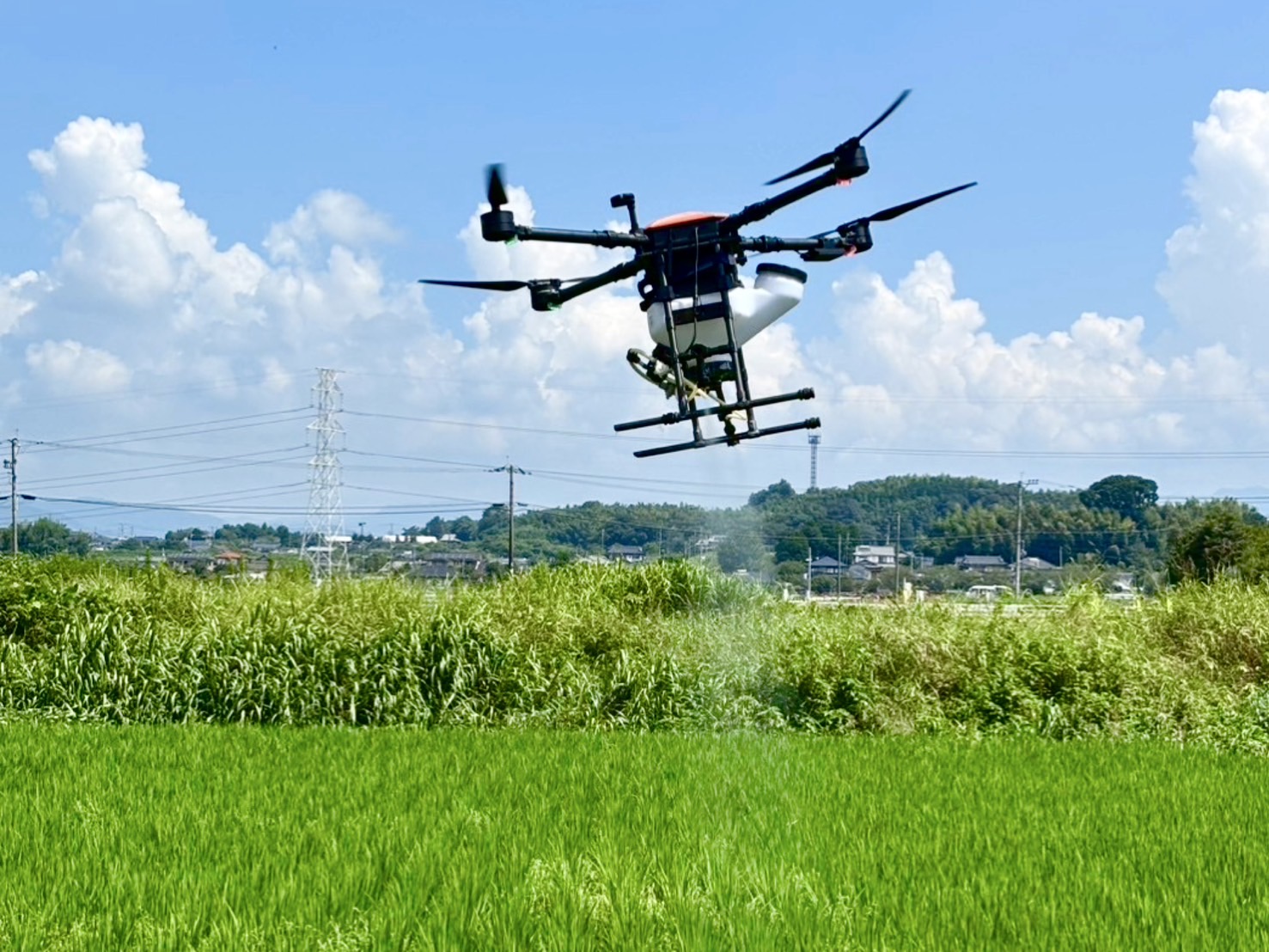 入念に散布！駆除が難しい外来雑草対策