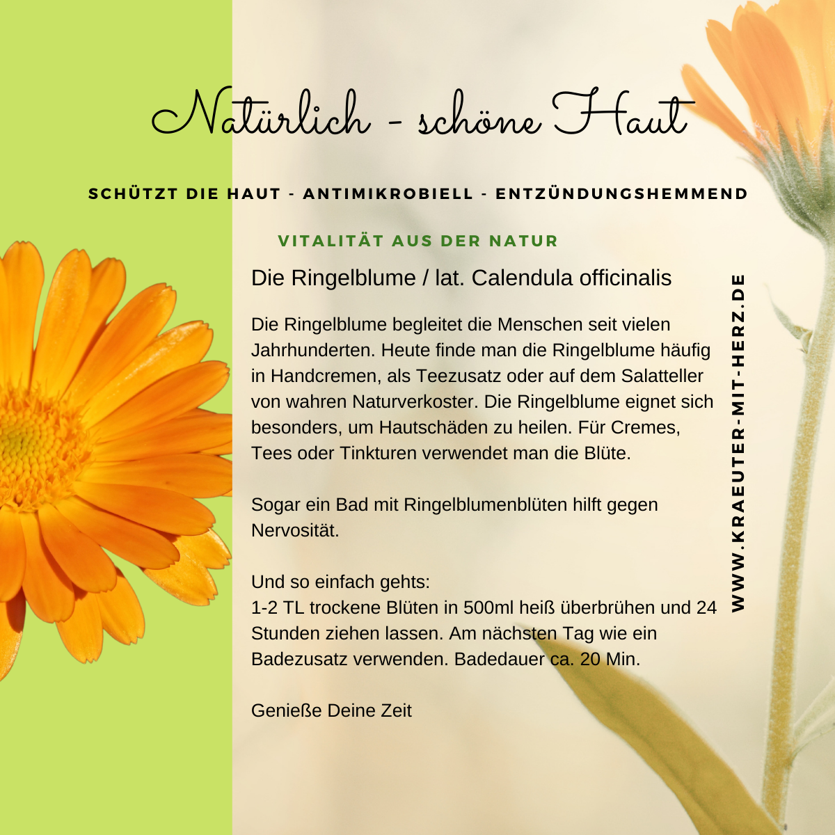 Gut gepflegt in den Herbst