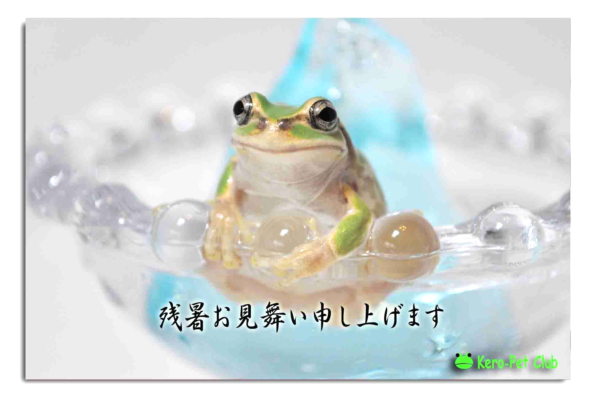 残暑お見舞い申し上げます