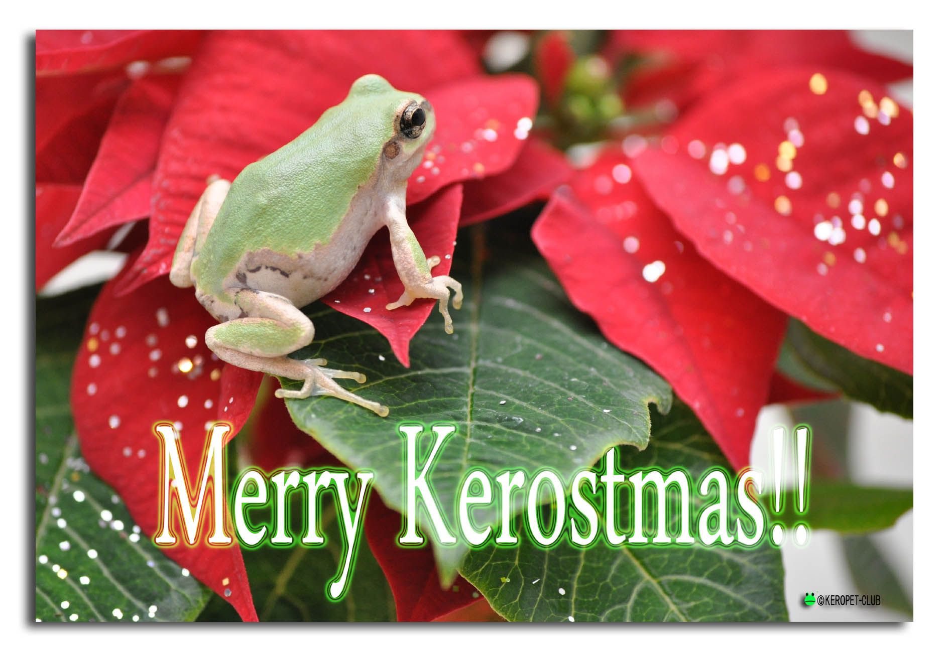 Merry Kerostmas!! 2023