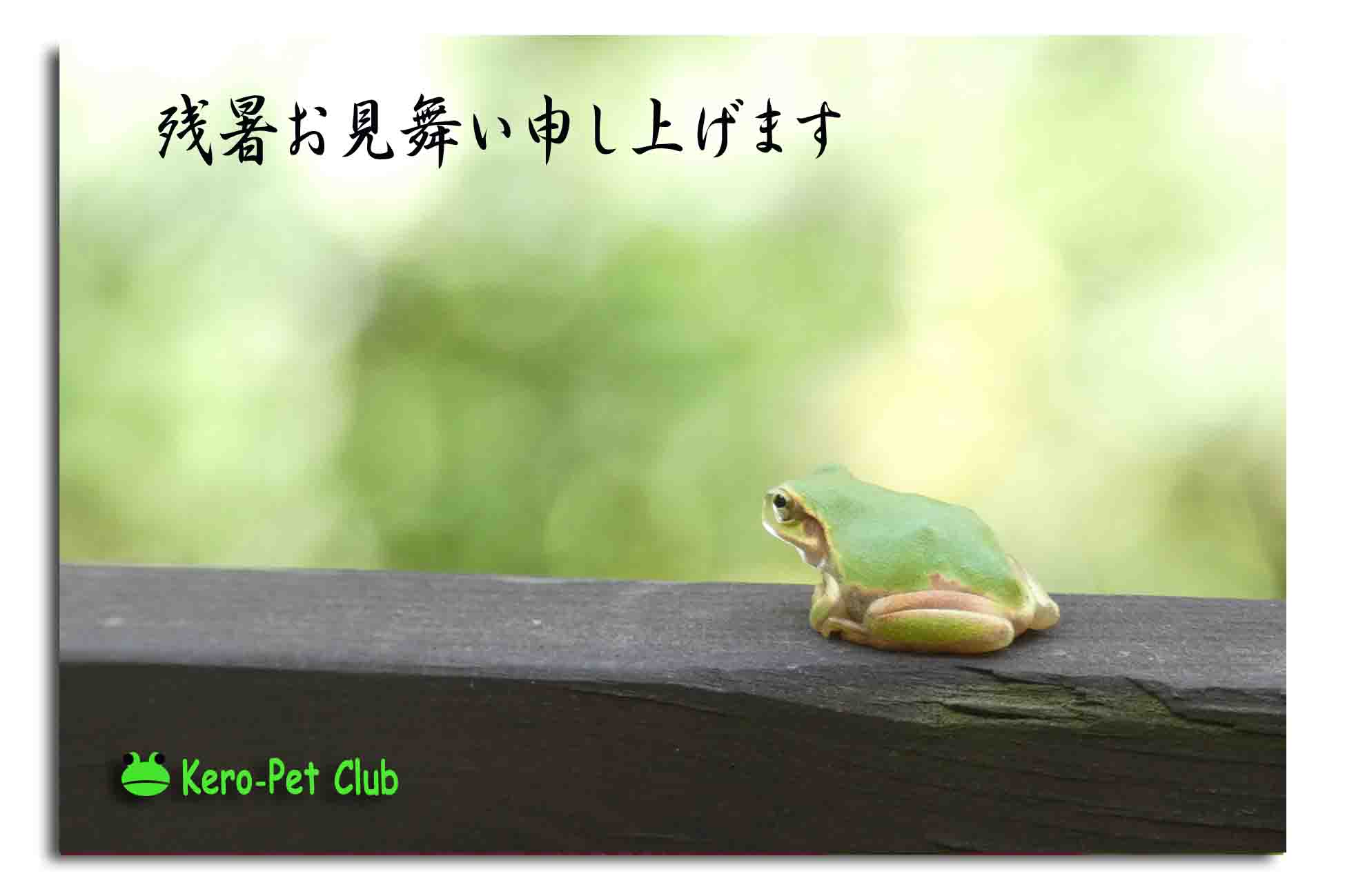 カエル山便り.2023 残暑