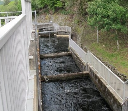 The Pitlochry fish ladder consists of 34 separate pools