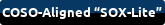 COSO-Aligned “SOX-Lite” Advisory