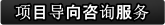 项目导向咨询服务
