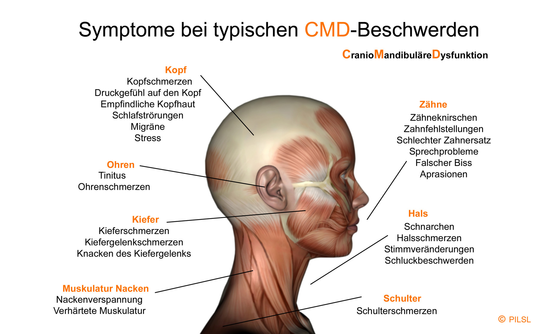 Cmd Craniomandibulare Dysfunktion Zahnarzt Garmisch Partenkirchen