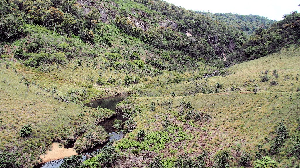 Wasserläufe durchziehen das Grasland des Horton Plain Nationalparkes und bilden artenreiche Feuchtgebiete