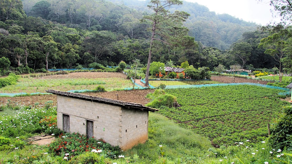 Am Fuße der Horton Plains ist das Land sehr fruchtbar