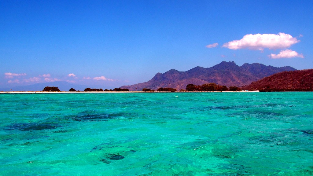 Während unserer Schnorcheltour erlebten wir ein farbenfrohes Meer, ...