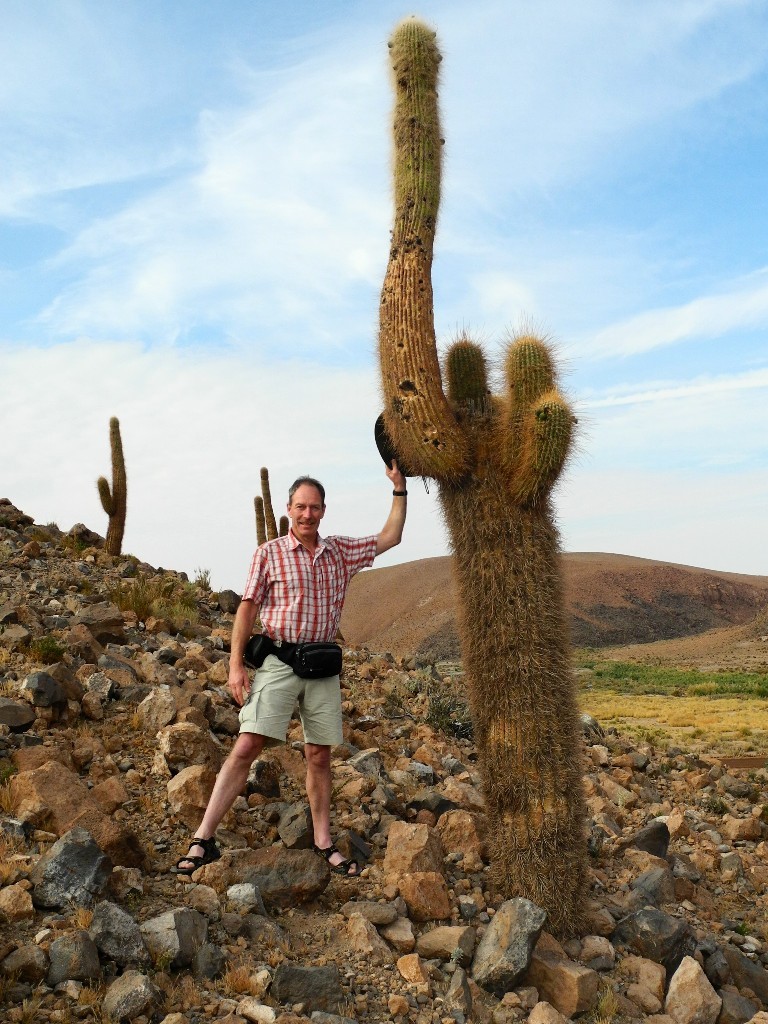 Mächtig - Candelbarkakteen in Quebrada de Guatin