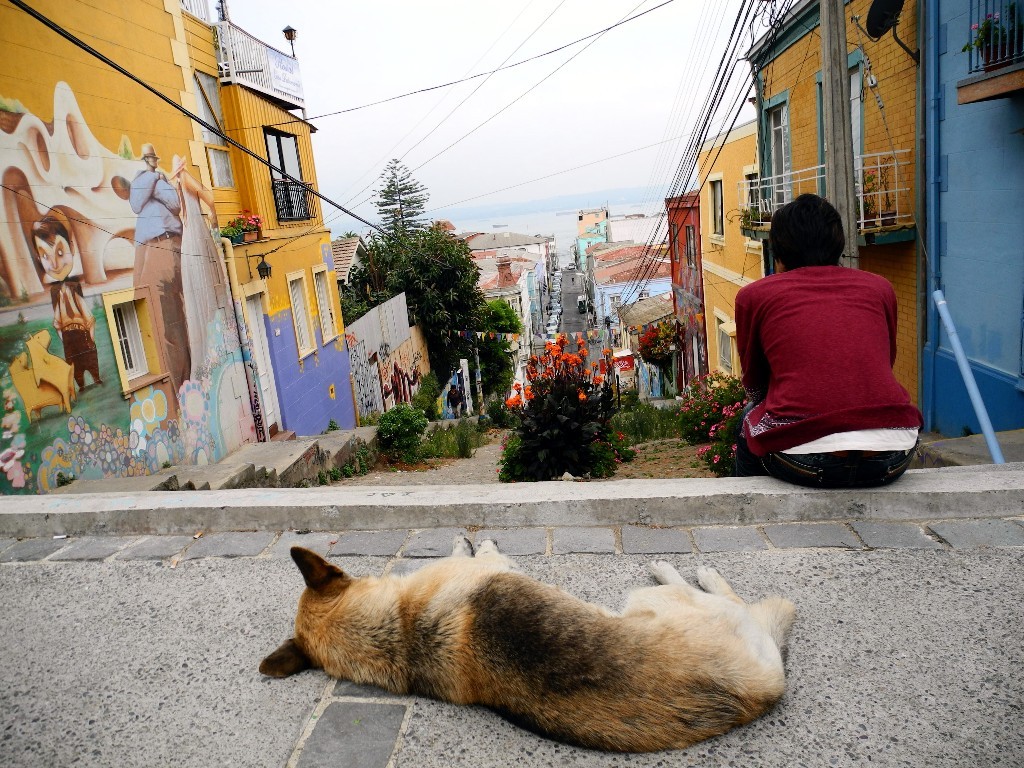 Ausblick - Künstlergasse in Valparaiso von oben ....