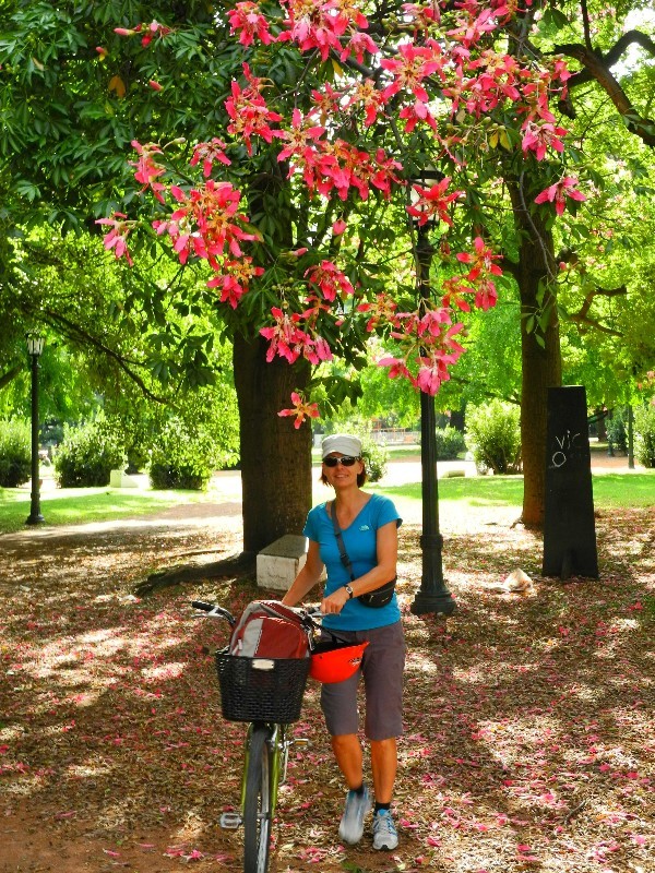 Wahrzeichen - Magnolien in einem Park in Buenos Aires