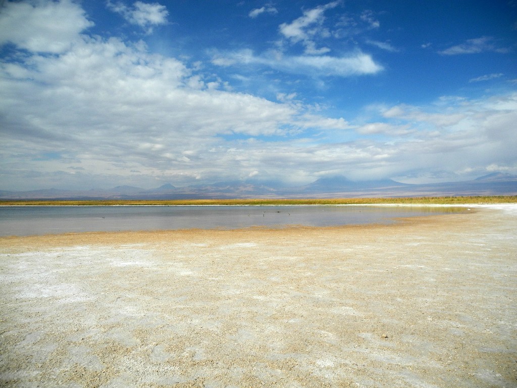 Farbspiel - Laguna Cejar in der Atacama