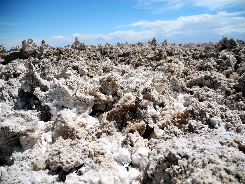 Bizarr - Salzkrusten in der Atacama