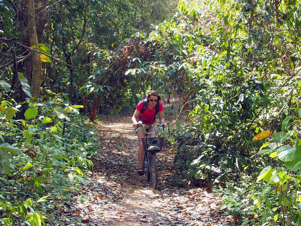 Fahrradtour - auf Don Khon geht es bisweilen durch dichten Tropenwald, ...