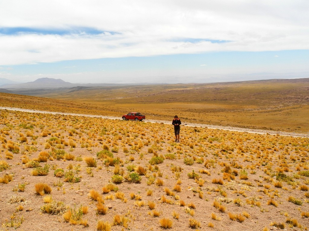 4000 m hoch - Altiplano oberhalb der Atacama