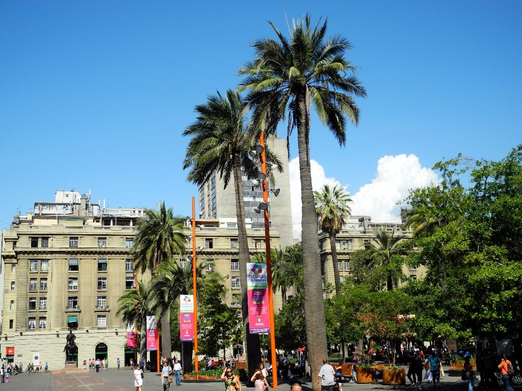 Subtropisch - Palmen am Placa de Armas in Santiago