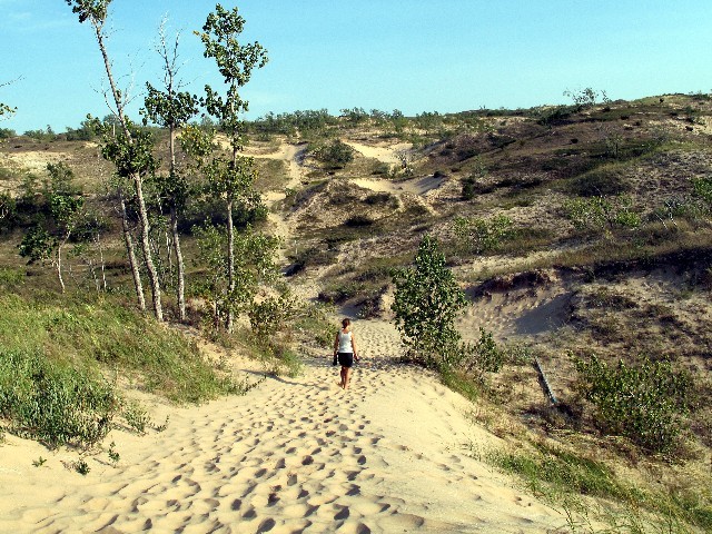 Sleeping Bear Dunes - Weite Dünenlandschaft