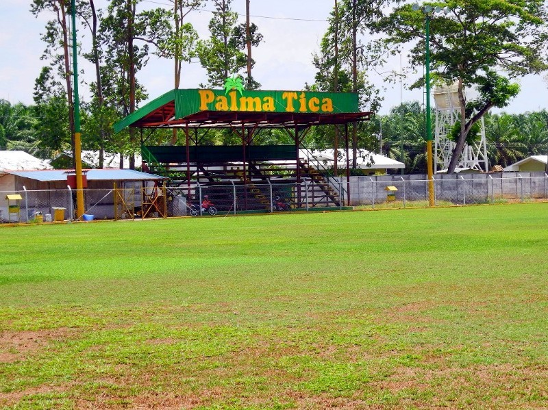 Palmöl, Palmölplantagen und Fußball