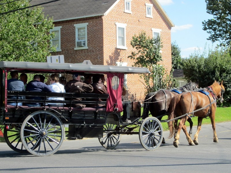 Ausflug - Amish Kutsche mit Touristen ...